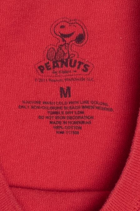 Charlie Brown & Snoopy Peanuts Gang Winter Scene T-Shirt (2010s)