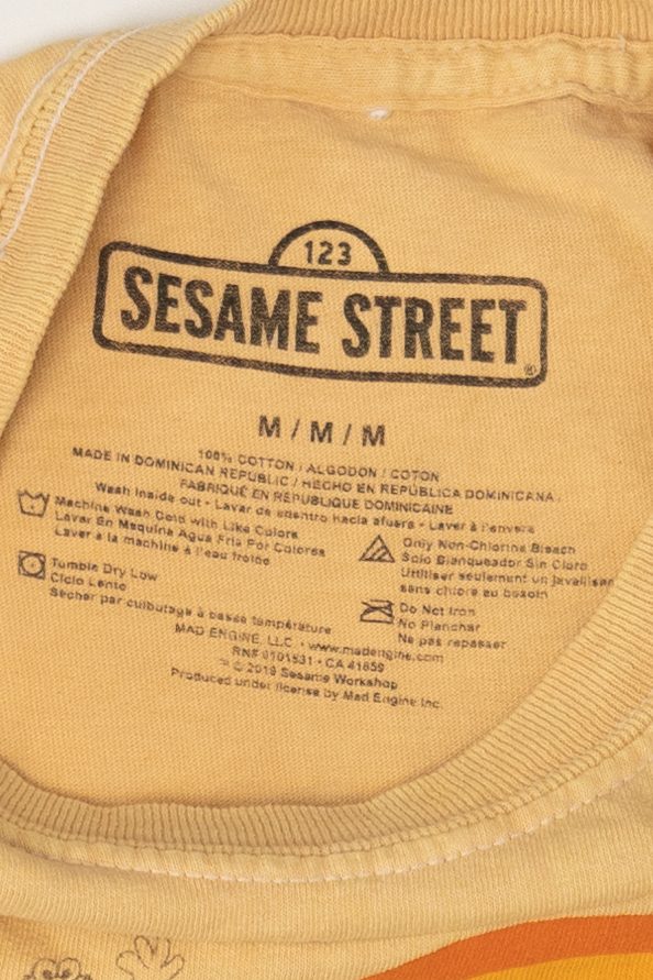 Yellow Sesame Street "Everybody Needs Somebody" T-Shirt (2010s)