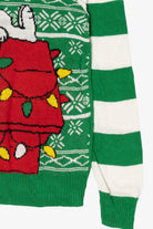Striped Green Peanuts Snoopy "Just Chillin'" Ugly Christmas Pullover (2010s)