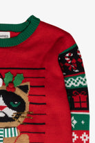 Bad Cat Ugly Christmas Sweater (2010s)