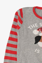 Gray "The Snuggle Is Real" Dogs Ugly Christmas Pullover (2010s)