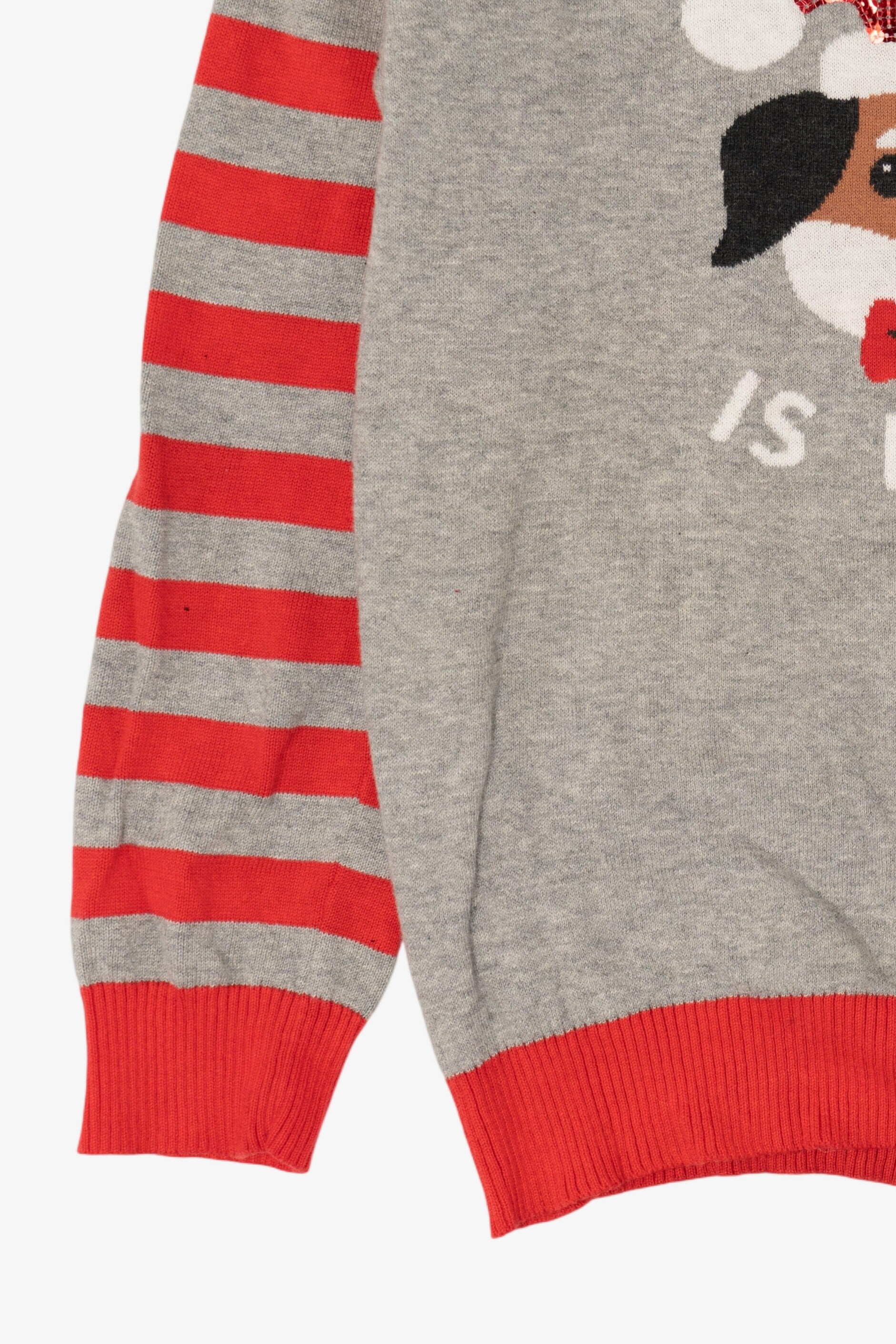 Kids Gray "The Snuggle Is Real" Dogs Ugly Christmas Pullover (2010s)