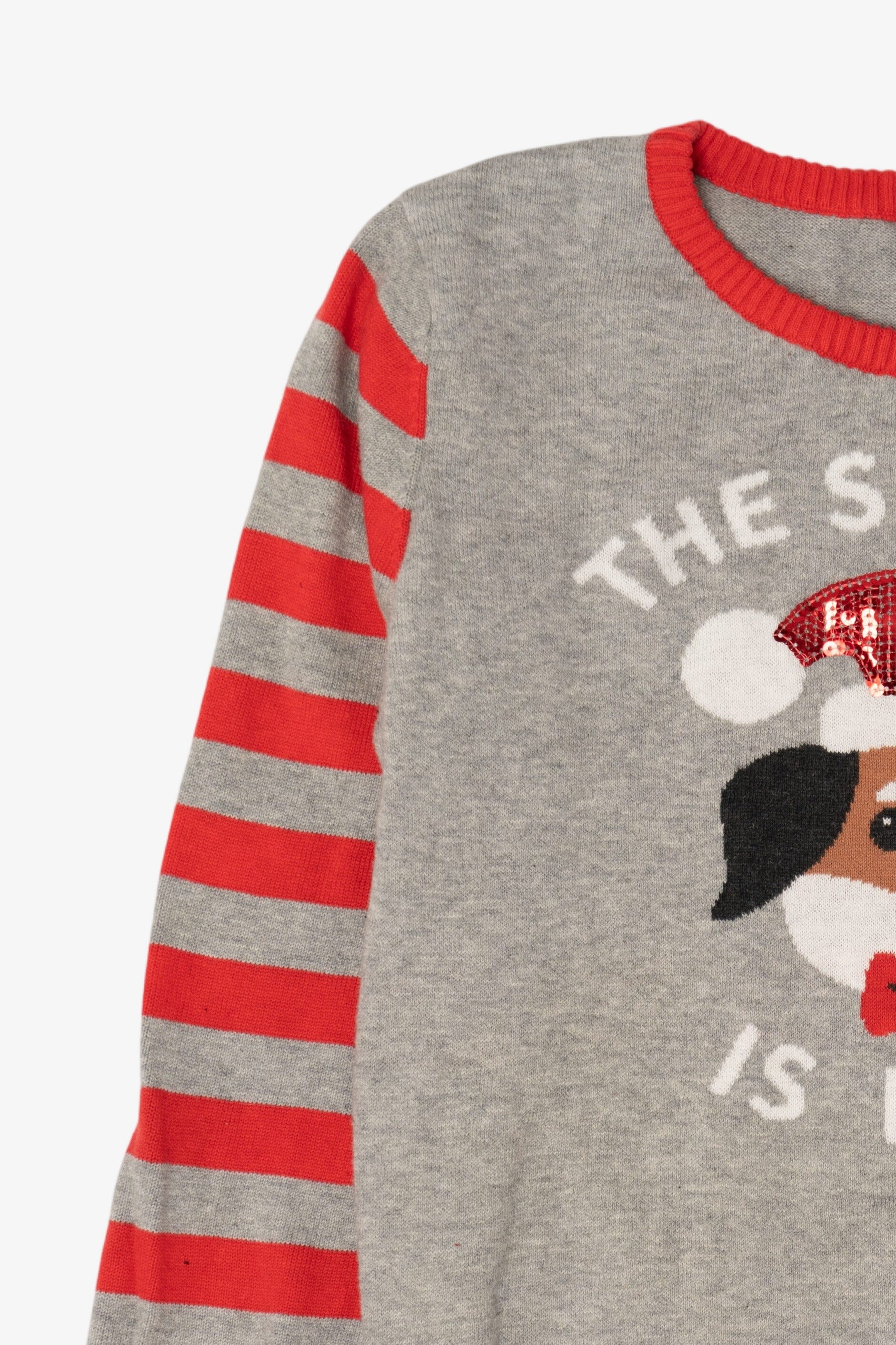 Kids Gray "The Snuggle Is Real" Dogs Ugly Christmas Pullover (2010s)