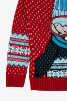 Kids Penguin Ugly Christmas Pullover (2020s)