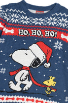 Peanuts Snoopy & Woodstock "Ho, Ho, Ho!" Ugly Christmas Pullover