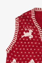 Vintage Reindeer Ugly Christmas Vest (2000s)