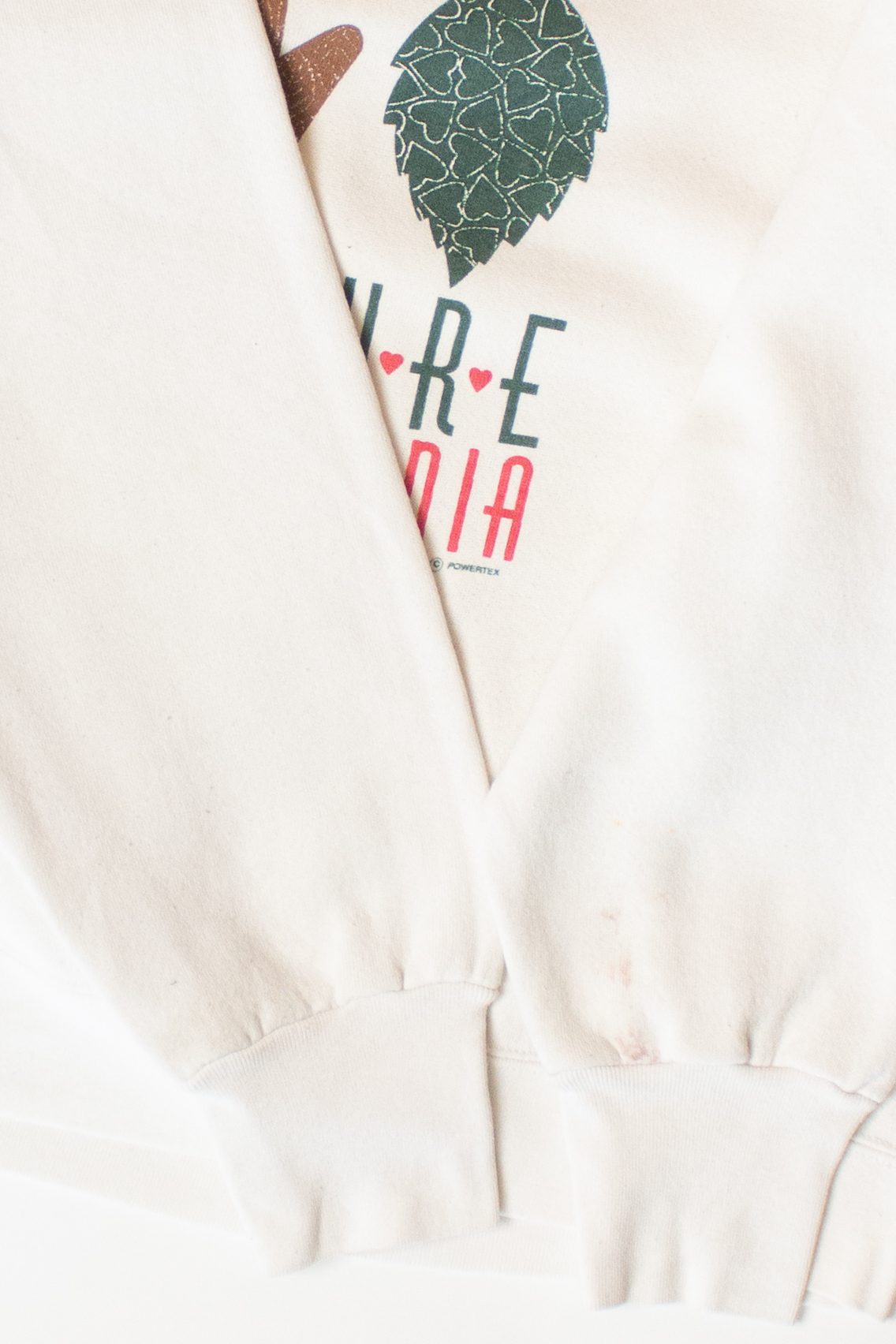 Vintage Embrace Nature California Sweatshirt (1990s)