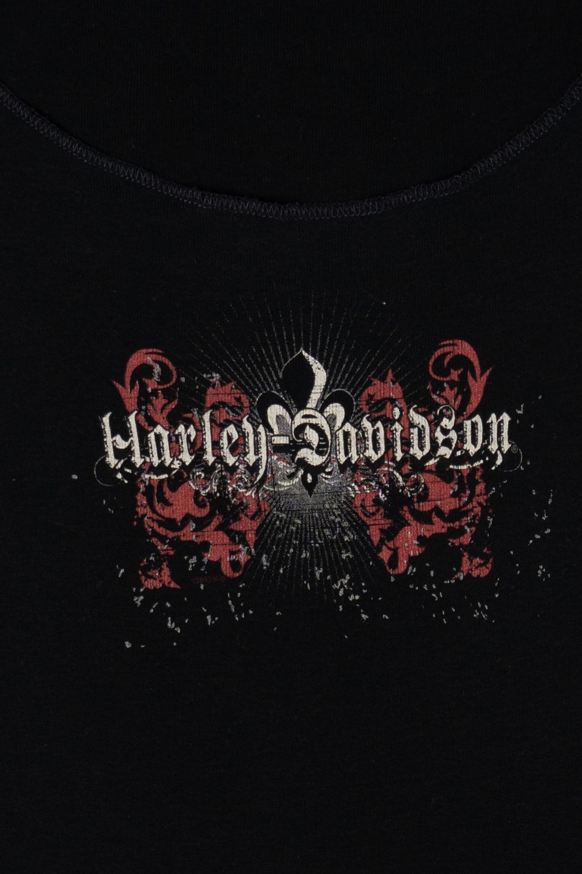 Harley Davidson Rio Grande Valley McAllen, Texas T-Shirt (2010s)