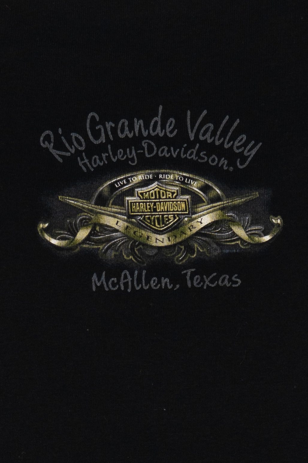 Harley Davidson Rio Grande Valley McAllen, Texas T-Shirt (2010s)