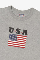 Vintage Gray USA American Flag Sonoma T-Shirt (2000s)