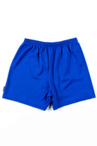Blue Adidas Athletic Shorts (sz. Small)