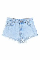 Vintage Levi's Denim Shorts (sz. 30)